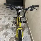 سيكل كوبرا الحق