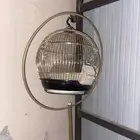 قفص