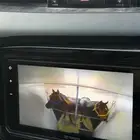 عربة نقل خيل في الجبيل عربة توصيل خيول المانيه