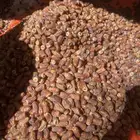 برني العيص فاخر