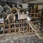 حمام باكستاني