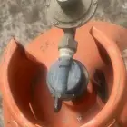 انبوبة غاز