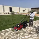 حصادة ثيل