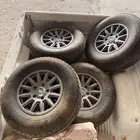 جنوط برايد مع كفراتها شواهين