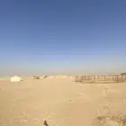 عقم للبيع مخيم في برمه بجانب حرس حدود