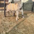 مشروع فحل ساكني معرف