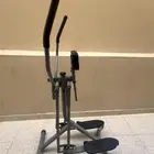 غزال الطائر