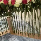 ورد جمله مع التنسيق حسب طلب الزبون