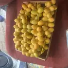 موجود برحي شكل وطعم على الطلب نوفر لك الكميه