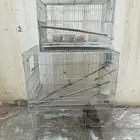 اقفاص طيور للبيع