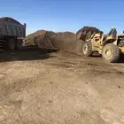توريد سماد بقر