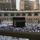 فود ترك للتقبيل - ايجار