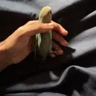 طير روز اليف