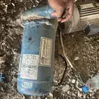 دينمو سمنان 2 حصان