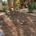 اعلاف