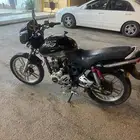 دباب سويدي