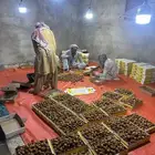 تمور سكري مفتل من المزرعه مباشره