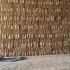 تبن بر جديد