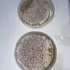 الجنوبي للعسل الأصلي