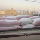 شوايب علف اغنام ابل