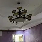 ثريه للبيع على السوم تبوك النظيم