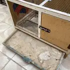 محاكر ارانب ودجاج واحد كبير ووصغير
