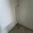 للبيع عصفور واحد فقط مع القفص والاستناد