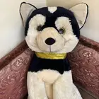 دميه ونترلاند