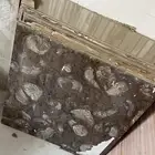 سراميك. منوع