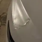 كبوت كامري ابيض لؤلؤي2023
