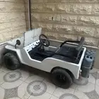 ميني جيب