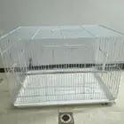 اقفاص طيور