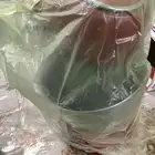 عجانه ب قراطيسها ب سعر مغري