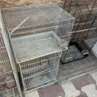 شبوك للبيع