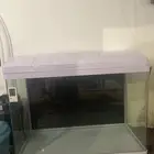 حوض اسماك للبيع