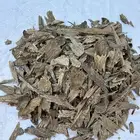 صيده عود اتشيه سومطري