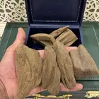 عود مروكي القصور والإهداءات الجزله