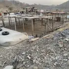 شبوك للايجار