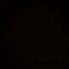 خيل مشرك خط سرعه الخيل سبوق تبي صوره رسل عل الرقم