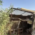 شبك حمام