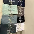طرح بوال