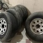 كفرات شواهين بجنوط أصلية