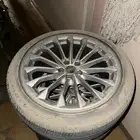 جنوط