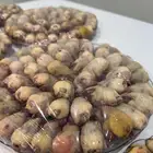 متوفر دخل طيب بواجي