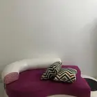 كنب
