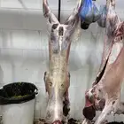 ذبايح شامل السلخ وتوصيل و التكيس وتغليف