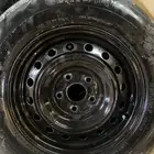 جنوط هايلوكس