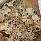 أكياس خبز للغنم