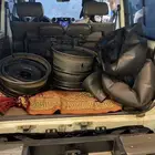 جنوط شنبر ولستك