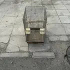 قفص كاسكو ثقيل آصلي